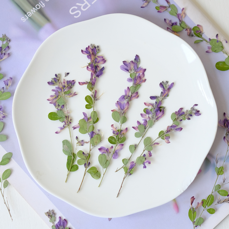 6 ชิ้น, ดอกเลสเปเดซา ฟอร์โมซาแ - Resin Art Baby บทวิจารณ์และราคา