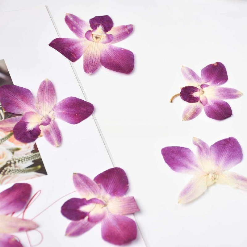 4 ชิ้น, ดอกกล้วยไม้ผีเสื้อแท้แ - Resin Art Baby บทวิจารณ์และราคา