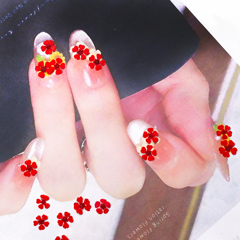 ดอกไม้แห้งอัดเม็ดขนาดเล็ก 1.5  - Resin Art Baby บทวิจารณ์และราคา