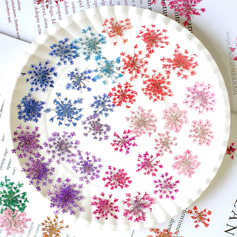 24 ชิ้น, ขนาด 2-2.5 ซม., ดอกไม - Resin Art Baby บทวิจารณ์และราคา